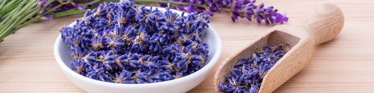 Secretos de la Lavanda: Tu Guía Definitiva para el Cuidado de la Piel y Quemaduras Solares con Aceite Esencial