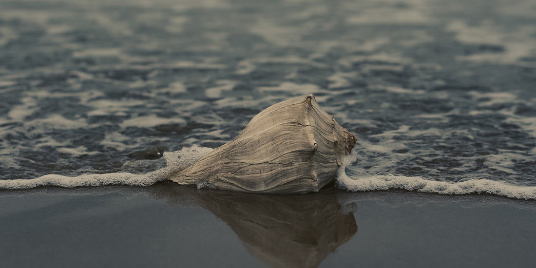 El Atecocolli,  poderoso caracol ceremonial