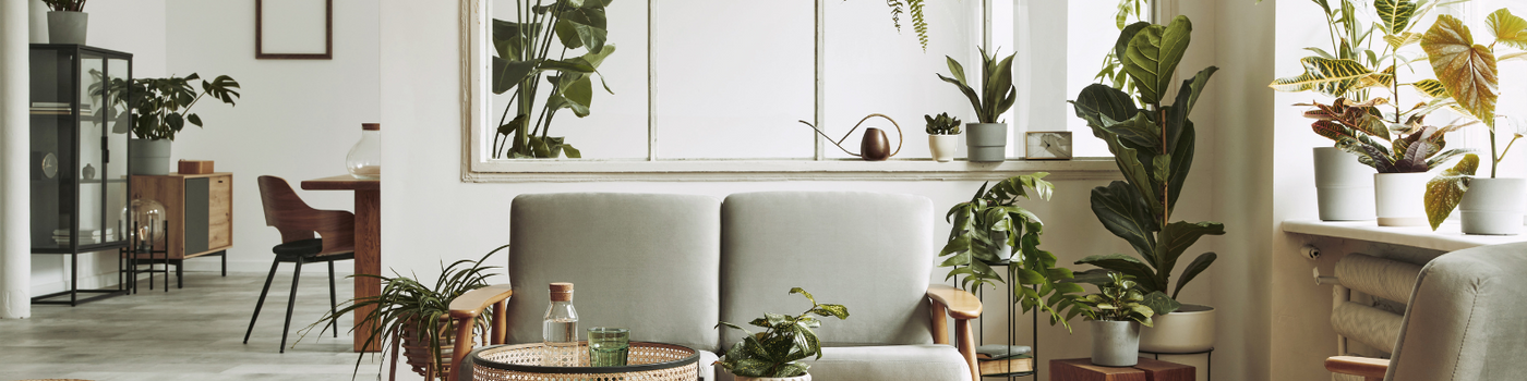 Tips para Mejorar tu Hogar y Crear un Espacio de Paz