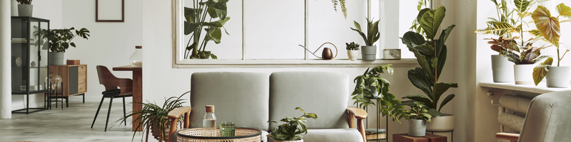 Tips para Mejorar tu Hogar y Crear un Espacio de Paz