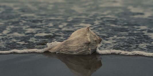 El Atecocolli,  poderoso caracol ceremonial