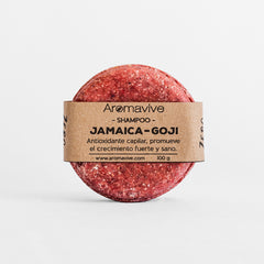 Hibiscus & Goji Shampoo 1