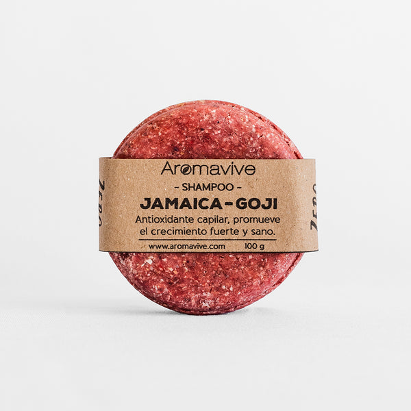 Hibiscus & Goji Shampoo