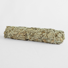 Salvia Blanca 2